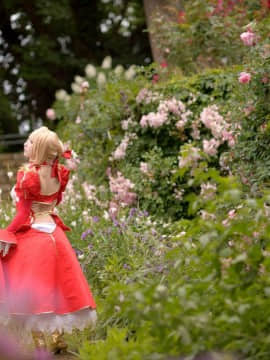 ShootingStar's (SAKU) despot rose_0158