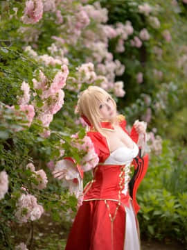 ShootingStar's (SAKU) despot rose_0159