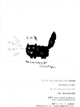 [CE家族社] (C86) [D・N・A.Lab. (ミヤスリサ)] ブラジャーをしたほうがいいほうの駆逐艦 (艦隊これくしょん -艦これ-)_CE_575_025
