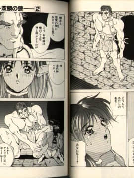 [亜木祭] ガンブック-双頭の狼 2_027