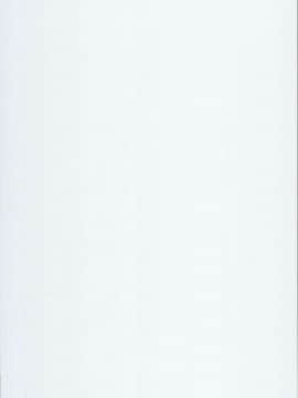 (C93) [バス停シャワー (桂井よしあき)] SICOSICO COLLECTION 01 (魔法少女リリカルなのは)_02