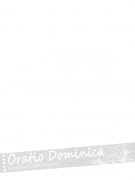 [脸肿汉化组] (C92) [ARESTICA (有子瑶一)] Oratio Dominica (Fate Grand Order)_016