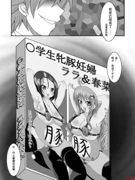 [Bitch牧場 (牧場主K)] ToLOVEひっ -とらぶひっ- (To LOVEる -とらぶる-) [中国翻訳]_to42