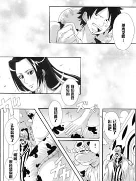 (C76) [快乱版 (ビビ)] 弁天快楽 11 蛇隷 (ワンピース) [中国翻訳]_22