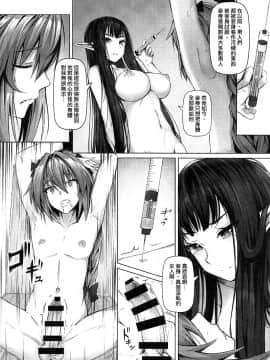 (C93) [ヒラマニ (ぎんハハ)] 女帝と真実の愛 (FateApocrypha) [中国翻訳]_016