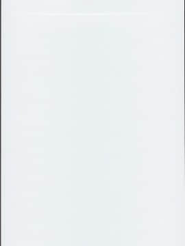 (C94) [SHINING (しゃいあん)] いけないフェイトちゃんのお遊戯 (魔法少女リリカルなのは)_0001