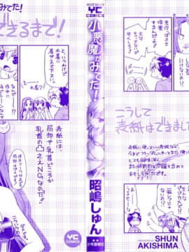 [昭嶋しゅん] 小悪魔がみてた!_002