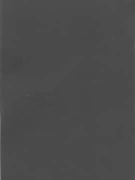 (C94) [吟醸マゴッツ (くろたま)] 豚嫁さくらちゃん (対魔忍アサギ)_24