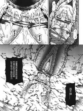 (C82)(同人誌)[Yokohama Junky (魔狩十織)] ソロハンターの生態 4 The first part (モンスターハンター)[VK1602喵汉化]_016