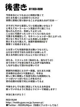 (C82) (同人誌) [泥沼兄弟 (RED-RUM, Mr.Lostman)] ドキンッ (美少女戦士セーラームーン)_0039