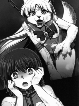 (C82) (同人誌) [堕落事故調査委員会] Corruption in Venus (セーラームーン)_48