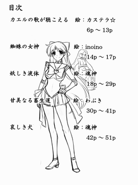 (C82) (同人誌) [堕落事故調査委員会] Corruption in Venus (セーラームーン)_04