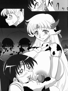 (C82) (同人誌) [堕落事故調査委員会] Corruption in Venus (セーラームーン)_40