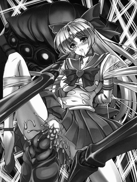 (C82) (同人誌) [堕落事故調査委員会] Corruption in Venus (セーラームーン)_14