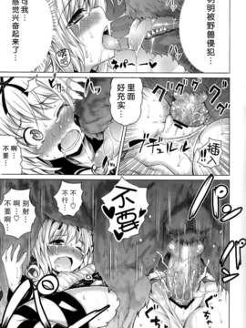 [无毒汉化组](C84) [PTD (たつひこ)] KTok 5 (ToLove)_0015