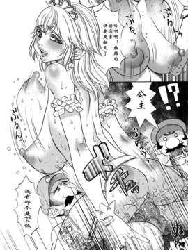 [汉化][F.S] Super Marao Bros. [無修正]_07_07