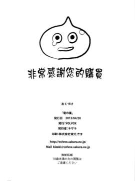 [final個人漢化] (COMIC1☆7) (同人誌) [VOLVOX (キザキ)] 竜の巣 (ドラゴンクエスト)[無修正]_17_ryunosu_18f
