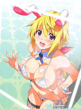 [脸肿汉化组](C84) [真珠貝 (武田弘光)] ストタマ (IS＜インフィニットストラトス＞)_42_img0042