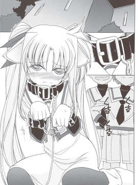 (C83) (同人誌) [EINSATZ GRUPPE (チャーリーにしなか)] DOG FATE (魔法少女リリカルなのは)_scan0002