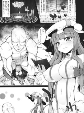 (C83) (同人誌) [えくりぷす] savia (東方Project)_savia_003