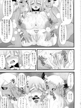 (C84) [FONETRASON (竜湯)] 煌盾装騎エルセイン Vol.14 Succubus Ritual (オリジナル)_12_SKE14_013