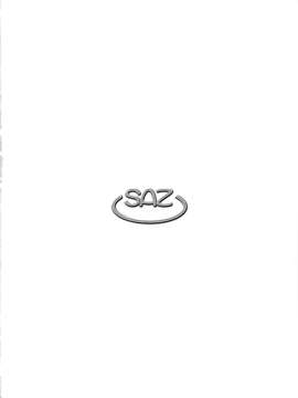 (C84) [SAZ (己即是空)] ぎしょくほうらん (とある魔術の禁書目録)_25_24