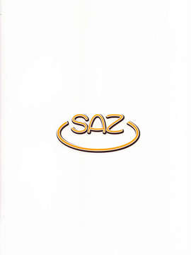 (C84) [SAZ (己即是空)] ぎしょくほうらん (とある魔術の禁書目録)_26_25