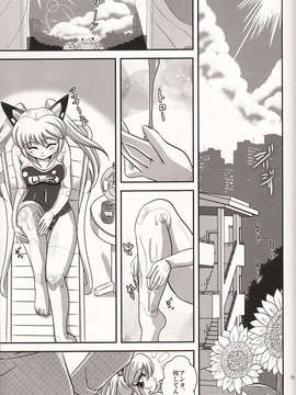 (C84) [みすてるていん (朧雲たかみつ)] VH2 (武装神姫)_18_Document_0018