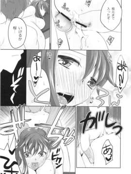 (C84) [TRIP SPIDER (niwacho)] cado2 (Fate stay night)_24_cado2_025