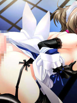 (18禁ゲームCG) [080725] [かすたーど] Hなメイドさんは好きですか？_EB_H11A