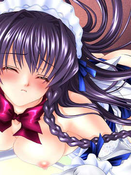 (18禁ゲームCG) [080725] [かすたーど] Hなメイドさんは好きですか？_ED_H14B