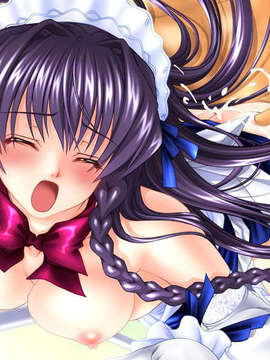 (18禁ゲームCG) [080725] [かすたーど] Hなメイドさんは好きですか？_ED_H14F