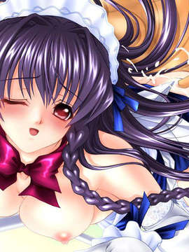 (18禁ゲームCG) [080725] [かすたーど] Hなメイドさんは好きですか？_ED_H14G
