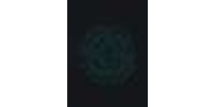 (C75) (同人CG集) [SHRINE(人丸)] 幻想生物図鑑 6(戮)_tip_tatoo