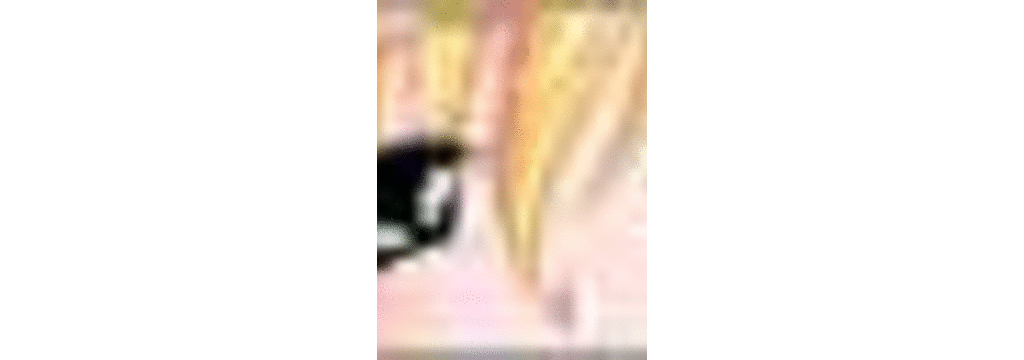 (同人CG集) [さくらぷりん] BUKKAKE EMBLEM NANNA776(ファイアーエムブレム)_ss-nf05
