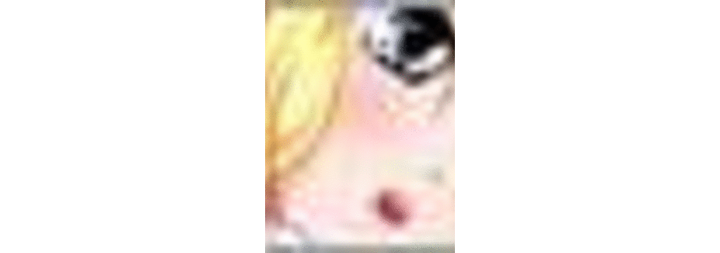 (同人CG集) [さくらぷりん] BUKKAKE EMBLEM NANNA776(ファイアーエムブレム)_ss-nf07