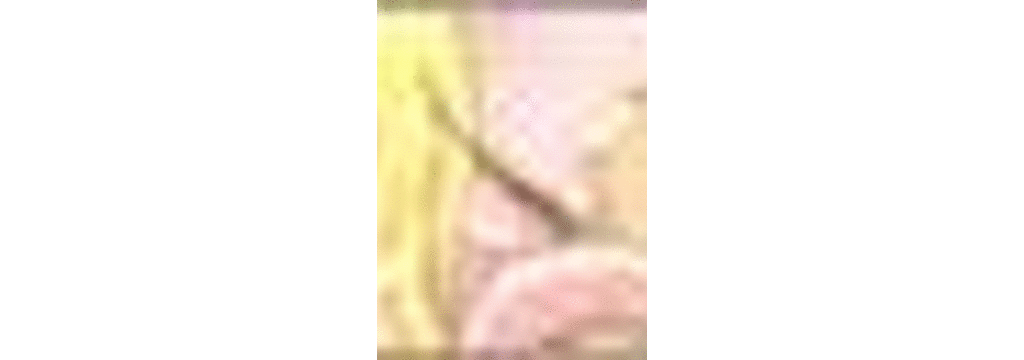 (同人CG集) [さくらぷりん] BUKKAKE EMBLEM NANNA776(ファイアーエムブレム)_ss-nf09