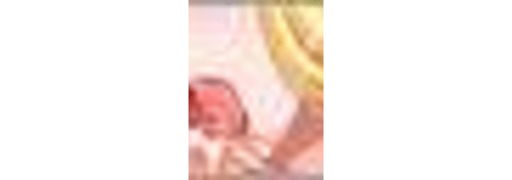 (同人CG集) [さくらぷりん] BUKKAKE EMBLEM NANNA776(ファイアーエムブレム)_ss-nl06