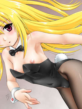 (C75) (同人CG集) [STUDIO IMPLANT] 金色夜叉(KONJIKIYASHA)(元idx to iso)_FSKYX05