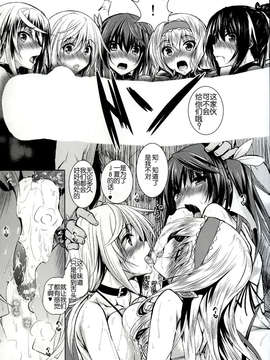 [脸肿汉化组](C85)[赤兎(復八磨直兎)] ISHR (インフィニット?ストラトス)_04