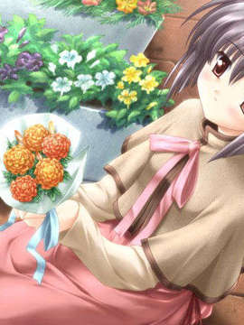 [Game CG][F&C·FC01][☆画野朗,魚,ぽん酢,植田亮]Canvas DVD～セピア色のモチーフ～_canvas_dvd113