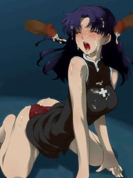 (同人CG集) [桃幻食研] 鉄姫 vol.2_misato_001