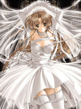 [011122][Riddle Soft] Virgin Bride～堕ちた花嫁～_VB-009