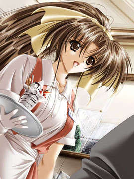 [011122][Riddle Soft] Virgin Bride～堕ちた花嫁～_VB-058