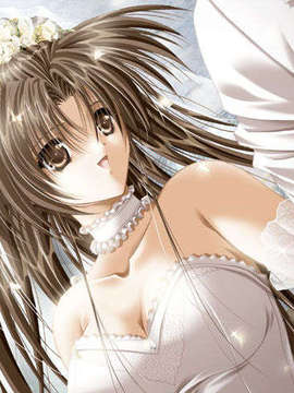 [011122][Riddle Soft] Virgin Bride～堕ちた花嫁～_VB-074