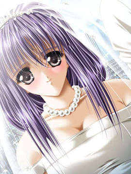 [011122][Riddle Soft] Virgin Bride～堕ちた花嫁～_VB-100