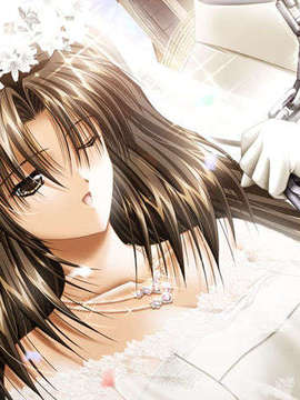 [011122][Riddle Soft] Virgin Bride～堕ちた花嫁～_VB-114