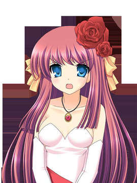 [070824]STEP×STEADY 初回限定版_