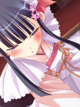 [060728][softpa]おしえてRe：メイド_EV315a