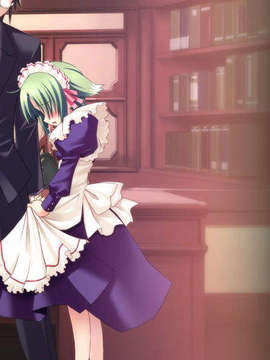 [060728][softpa]おしえてRe：メイド_EV417a